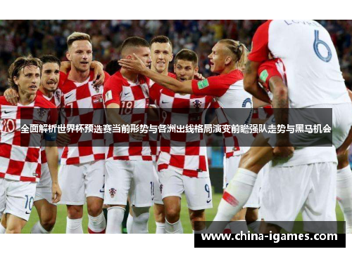 全面解析世界杯预选赛当前形势与各洲出线格局演变前瞻强队走势与黑马机会