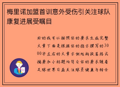 梅里诺加盟首训意外受伤引关注球队康复进展受瞩目